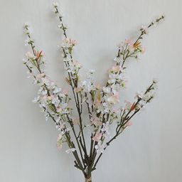 Zväzok vetvičiek JABLOŇ 80 cm, 3 ks - galéria #2