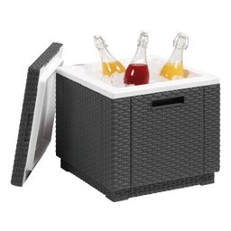 Záhradný chladiaci box ICE CUBE grafit